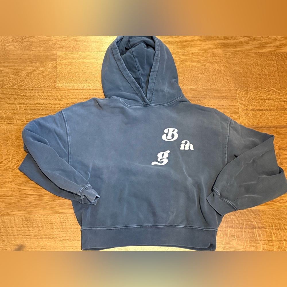 Anine Bing Alec hoodie sz small EUC